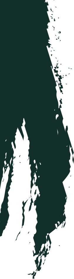 Shape Image