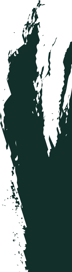 Shape Image