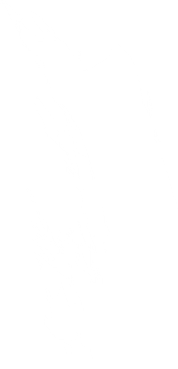 Shape Image